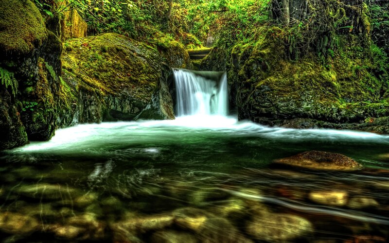 Small Waterfall in Forest — Green, Serene, Photograph, Mossy Rocks