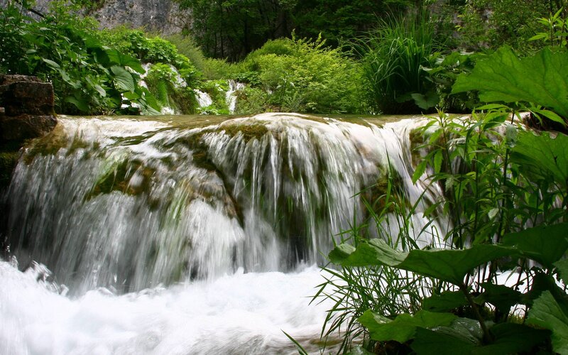 Small Waterfall in Forest — Green, Serene, Photograph, Plants