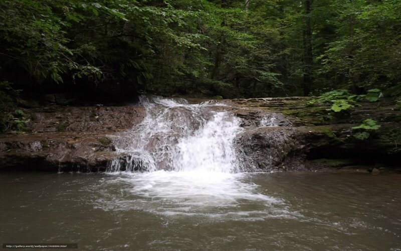 Small Waterfall in Forest — Green, Serene, Photograph, River, Rocks