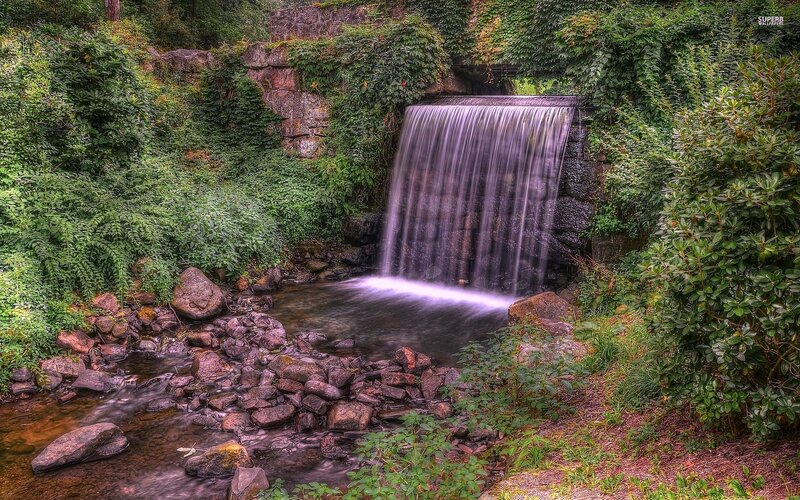 Small Waterfall in Forest — Green, Serene, Photograph, River