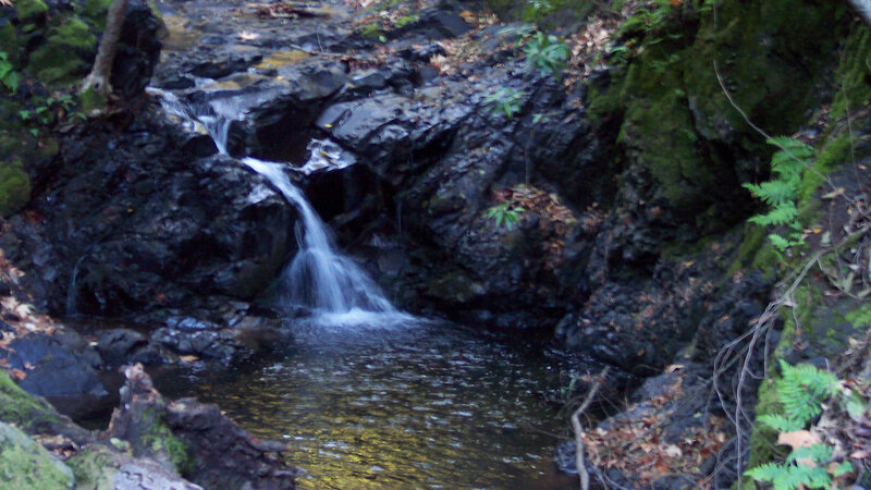 Small Waterfall in Forest — Green, Serene, Photograph, Rocks, Moss, Ferns