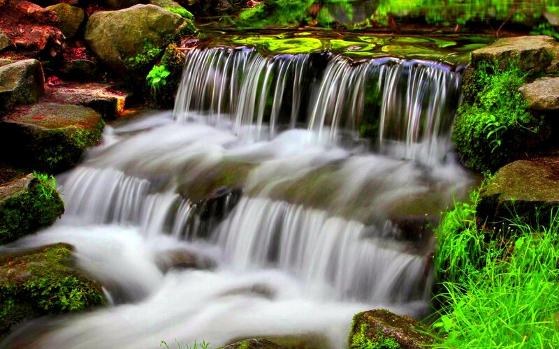 Small Waterfall in Forest — Green, Serene, Photograph, Rocks, Moss, Grass