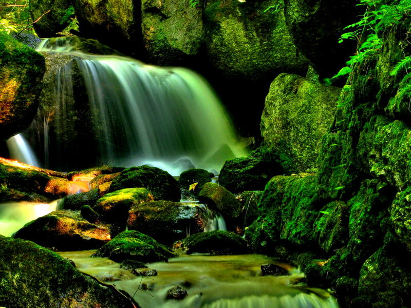 Small Waterfall in Forest — Green, Serene, Photograph, Rocks, Moss, Stream