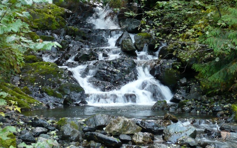 Small Waterfall in Forest — Green, Serene, Photograph, Rocks, Moss, Trees, Gray