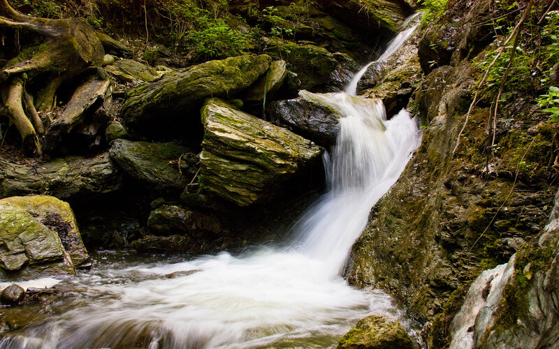 Small Waterfall in Forest — Green, Serene, Photograph, Rocks, Moss, Trees