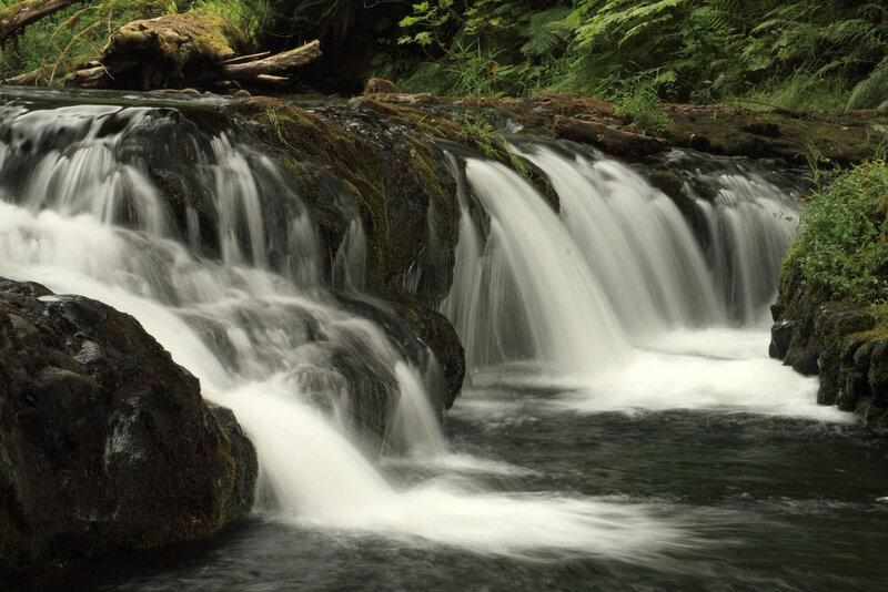 Small Waterfall in Forest — Green, Serene, Photograph, Rocks