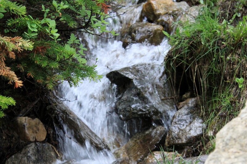 Small Waterfall in Forest — Green, Serene, Photograph, Rocks, Trees