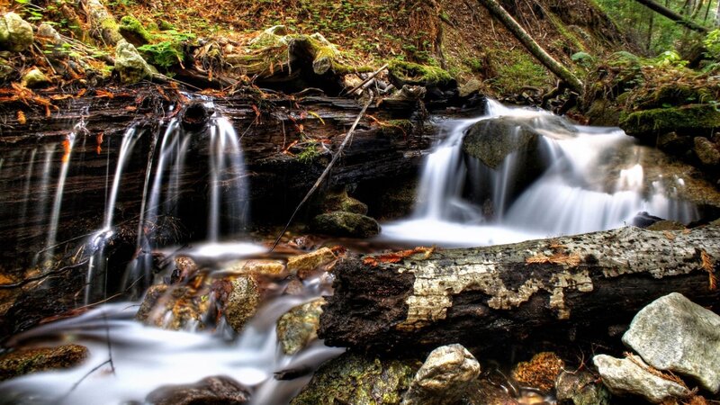 Small Waterfall in Forest — Green, Serene, Photograph, Stream, Moss