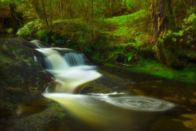 Small Waterfall in Forest — Green, Serene, Photograph, Stream, Moss, Trees