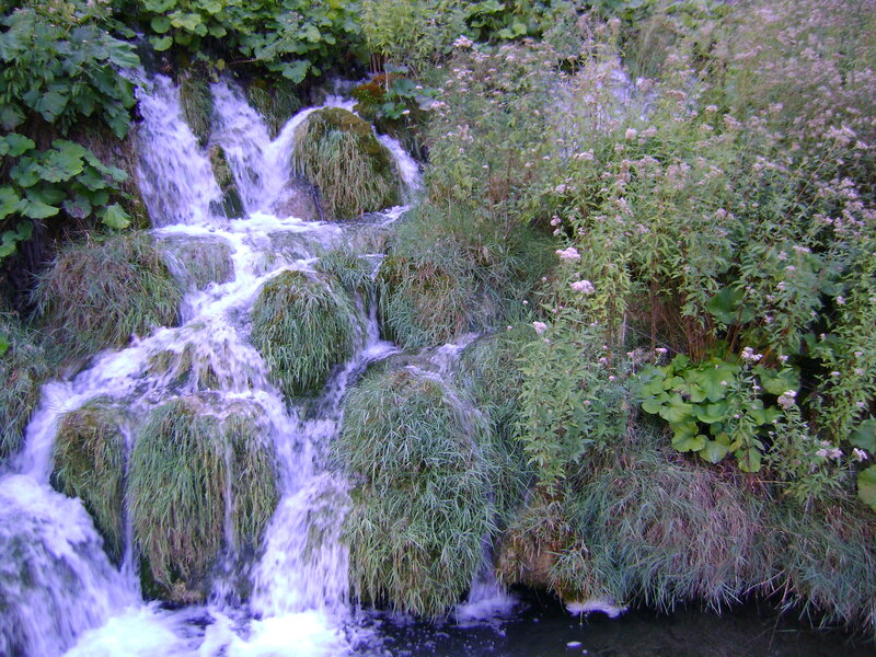 Small Waterfall in Forest — Green, Serene, Photograph, Stream, Plants