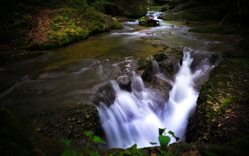 Small Waterfall in Forest — Green, Serene, Photograph, Stream, Rocks, Moss