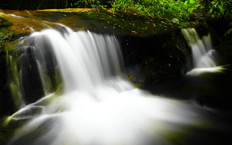 Small Waterfall in Forest — Green, Serene, Photograph, Stream, Rocks