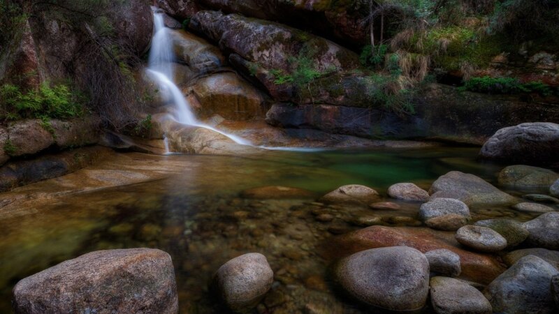 Small Waterfall in Forest — Green, Serene, Photograph, Stream, Rocks, Trees
