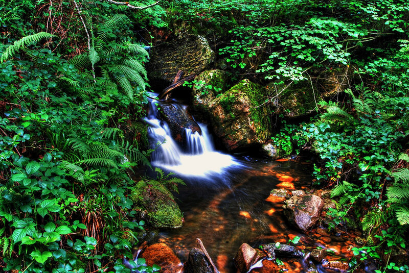 Small Waterfall in Forest — Green, Serene, Photograph, Stream