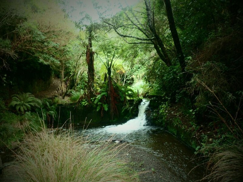 Small Waterfall in Forest — Green, Serene, Photograph, Stream, Trees