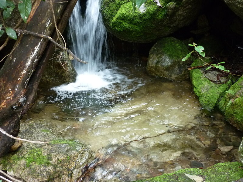 Small Waterfall in Forest — Green, Serene, Photograph