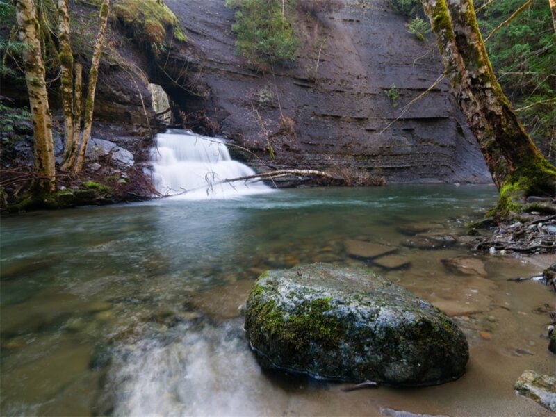 Small Waterfall in Forest — Green, Serene, Photograph, Trees, River, Rock