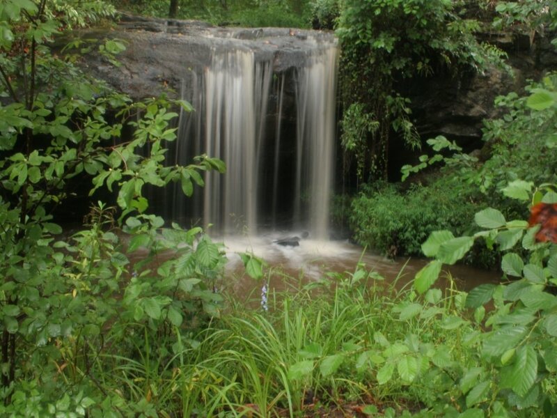Small Waterfall in Forest — Green, Serene, Photograph, Trees, River