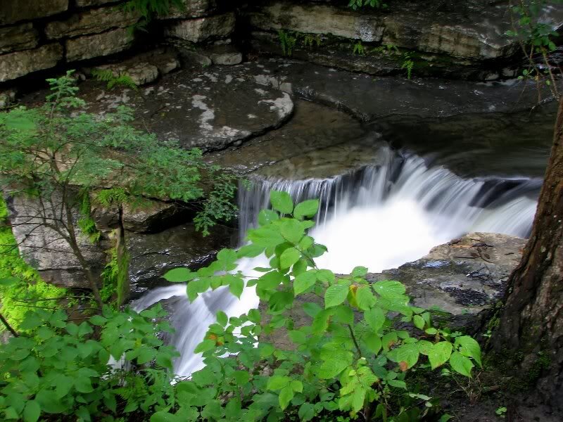 Small Waterfall in Forest — Green, Serene, Photograph, Trees, Rocks, Stream