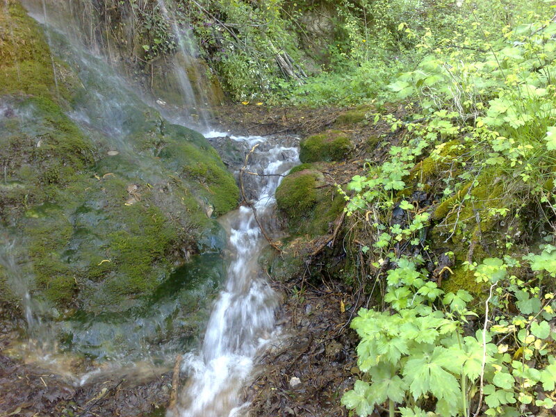 Small Waterfall in Forest — Green, Serene, Spring, Photograph, Moss