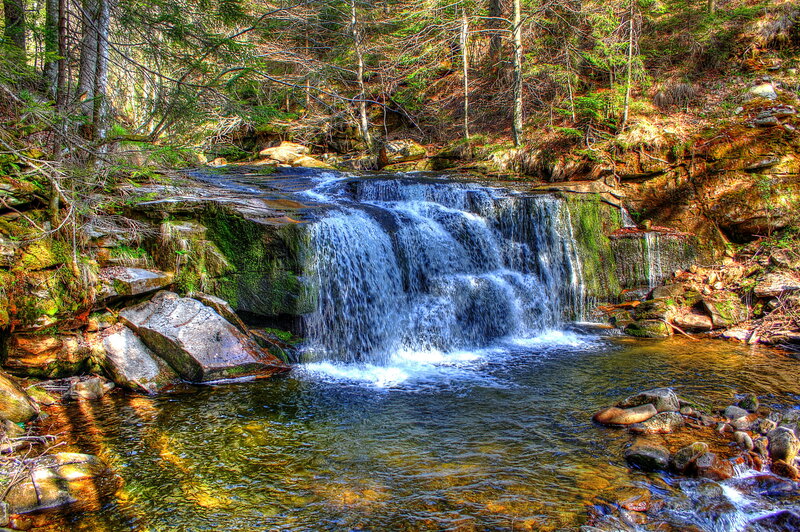 Small Waterfall in Forest — Green, Serene, Spring, Photograph, River