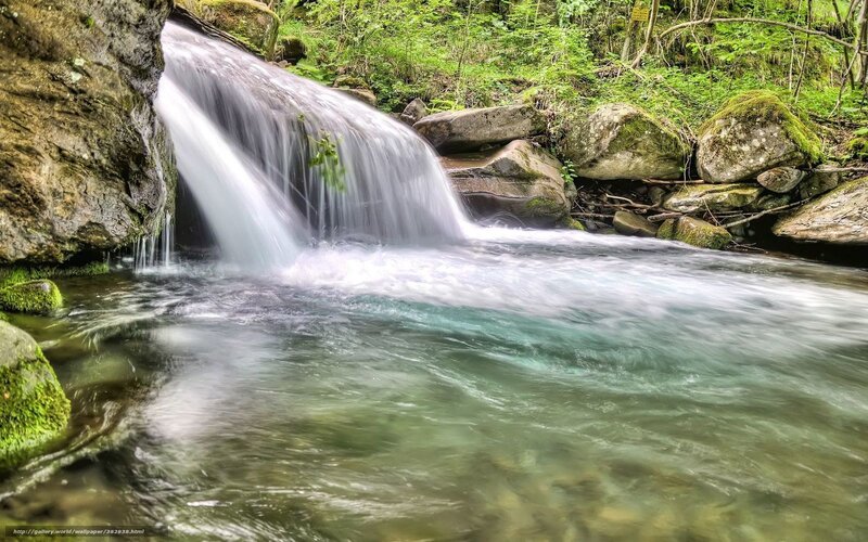 Small Waterfall in Forest — Green, Serene, Spring, Photograph, Rocks, Moss