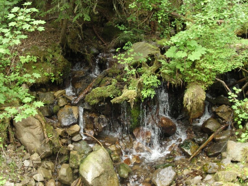 Small Waterfall in Forest — Green, Serene, Spring, Photograph, Rocks