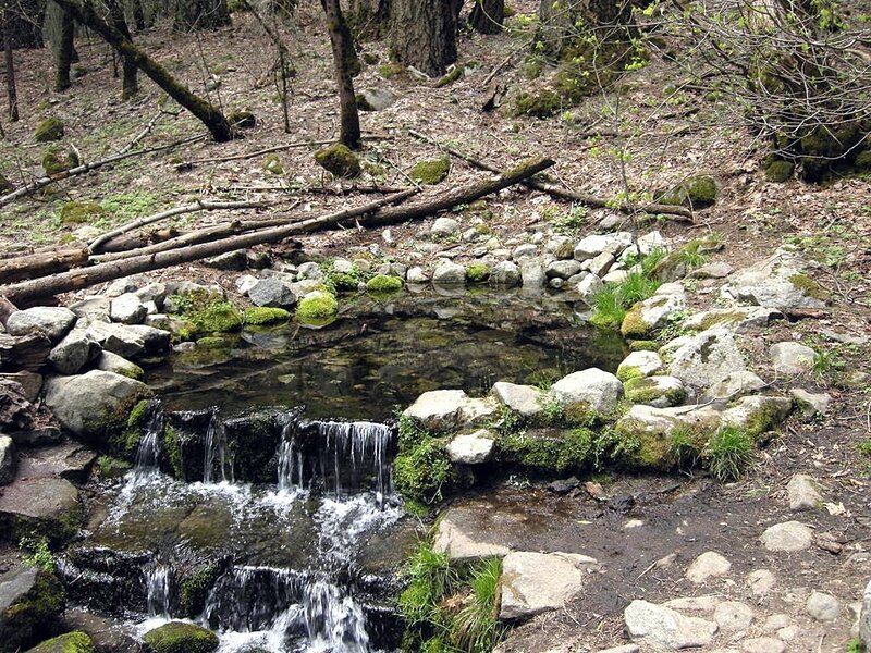 Small Waterfall in Forest — Green, Serene, Spring, Photograph, Rocks, Trees