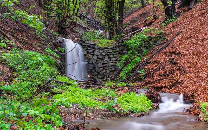 Small Waterfall in Forest — Green, Serene, Spring, Photograph, Stream