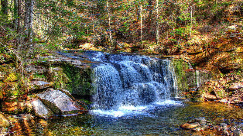 Small Waterfall in Forest — Green, Serene, Spring, Photograph, Trees, Rocks, Stream