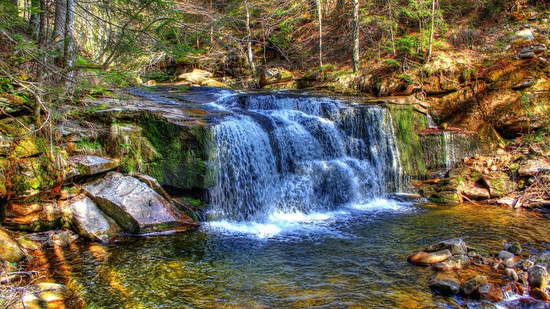Small Waterfall in Forest — Green, Serene, Spring, Photograph, Trees, Rocks