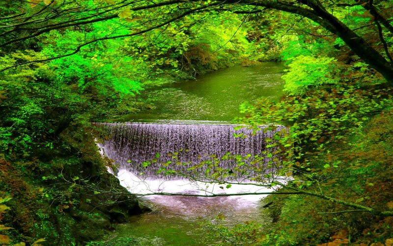 Small Waterfall in Forest — Green, Serene, Summer, Photograph, River