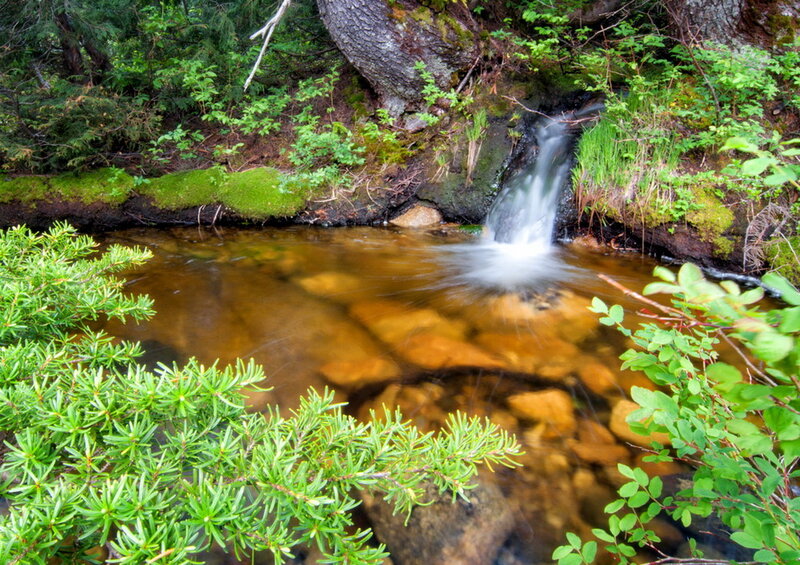 Small Waterfall in Forest — Green, Serene, Summer, Photograph, Stream