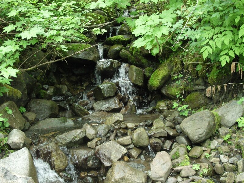 Small Waterfall in Forest — Green, Serene, Summer, Photograph