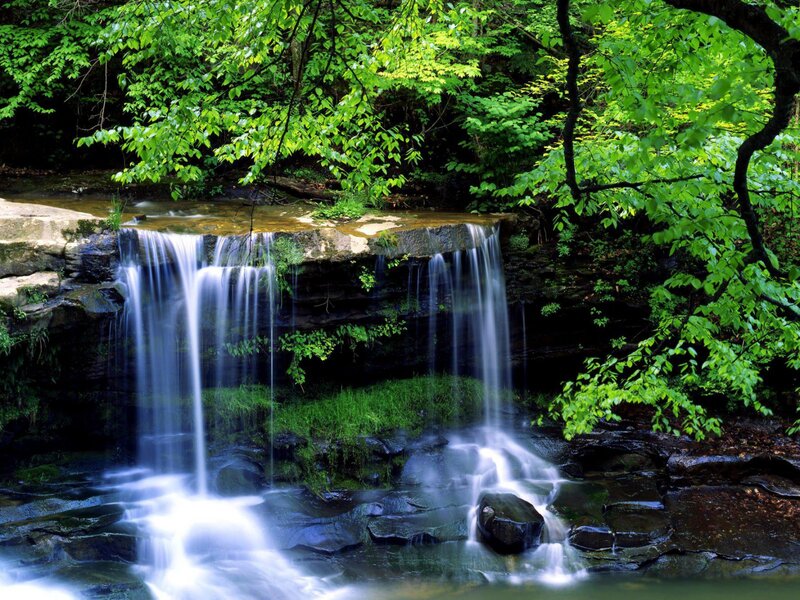 Small Waterfall in Forest — Green, Serene, Summer, Photograph, Trees, Rocks