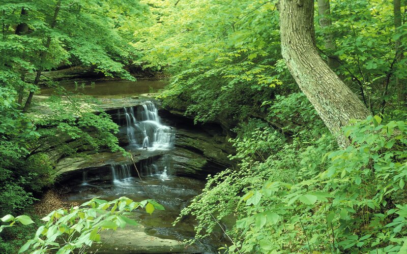 Small Waterfall in Forest — Green, Serene, Summer, Photograph, Trees, Stream, Rocks