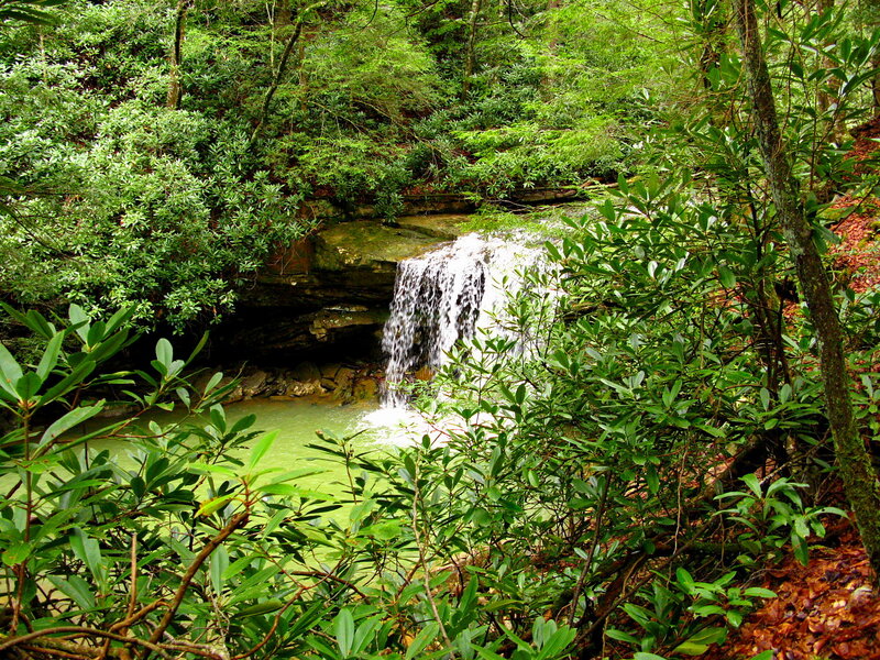 Small Waterfall in Forest — Green, Serene, Summer, Photograph, Trees, Stream