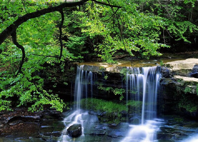 Small Waterfall in Forest — Green, Serene, Summer, Photograph, Trees