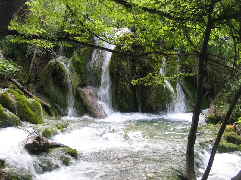 Small Waterfall in Forest — Green, Serene, Summer