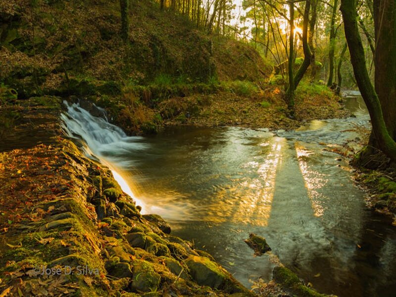 Small Waterfall in Forest — Green, Serene, Sunset