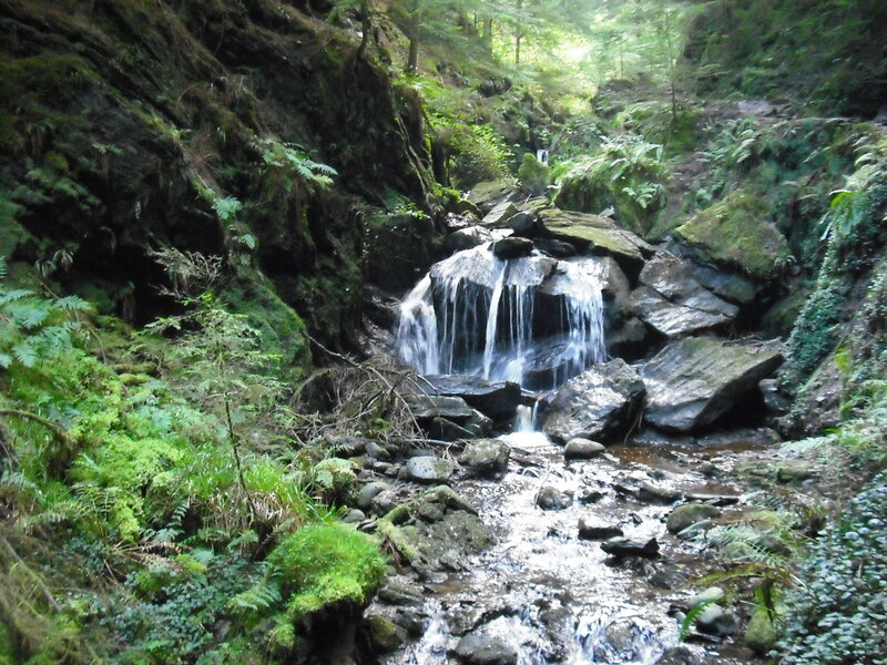 Small Waterfall in Forest — Green, Serene