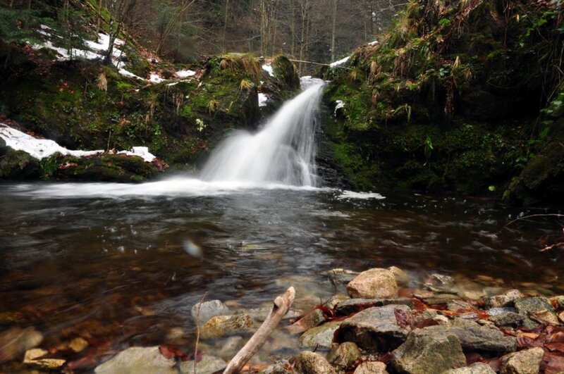 Small Waterfall in Forest — Green, Serene, Winter