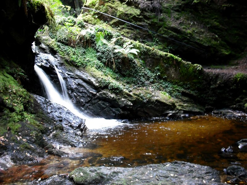 Small Waterfall in Forest — Green