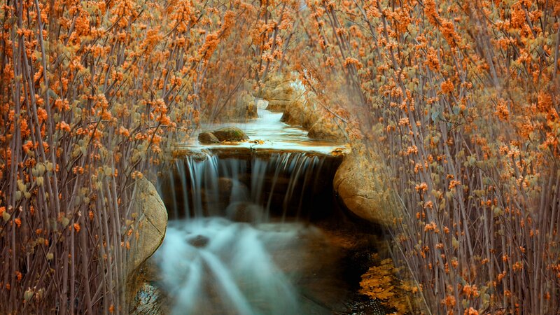 Small Waterfall in Forest — Orange, Serene, Autumn, Photograph, Stream