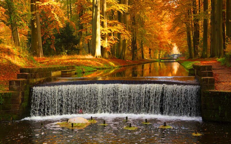 Small Waterfall in Forest — Orange, Serene, Autumn, Photograph