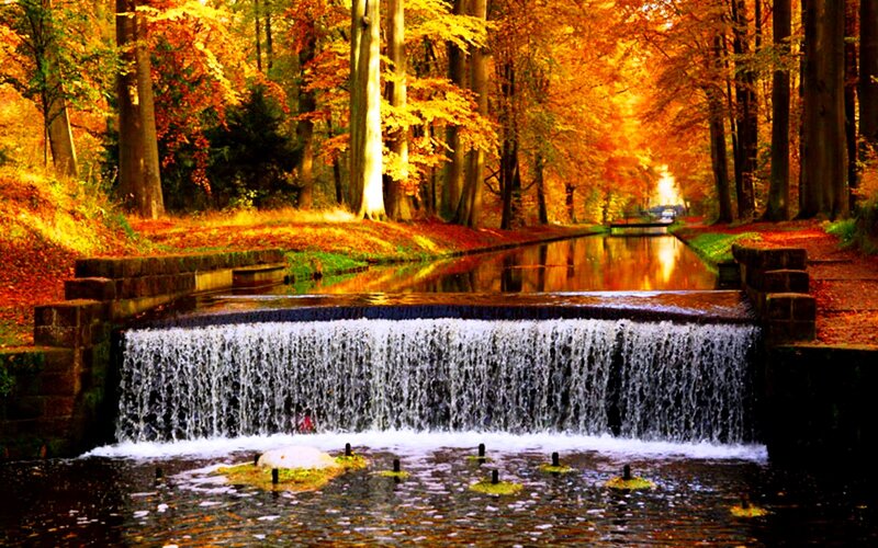 Small Waterfall in Forest — Orange, Serene, Autumn, Photograph, Trees