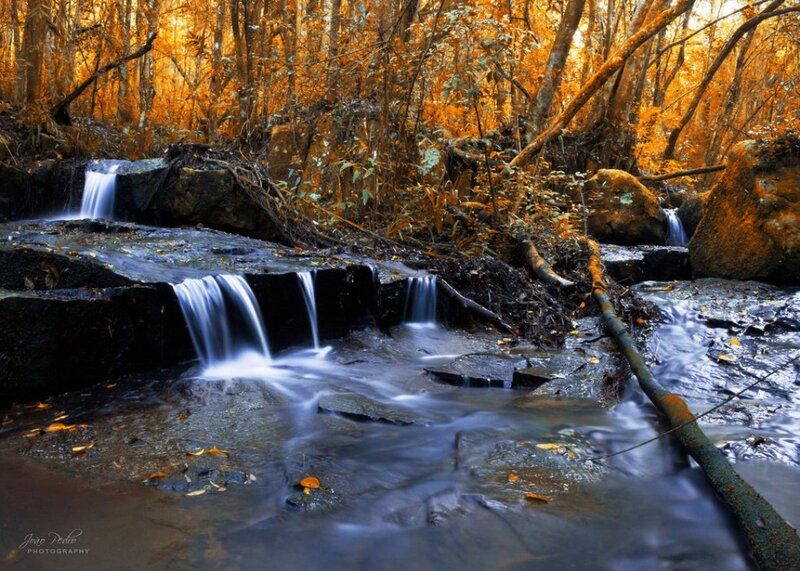 Small Waterfall in Forest — Orange, Serene, Autumn