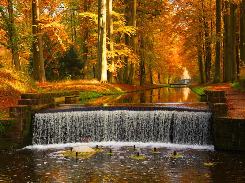 Small Waterfall in Forest — Orange, Serene