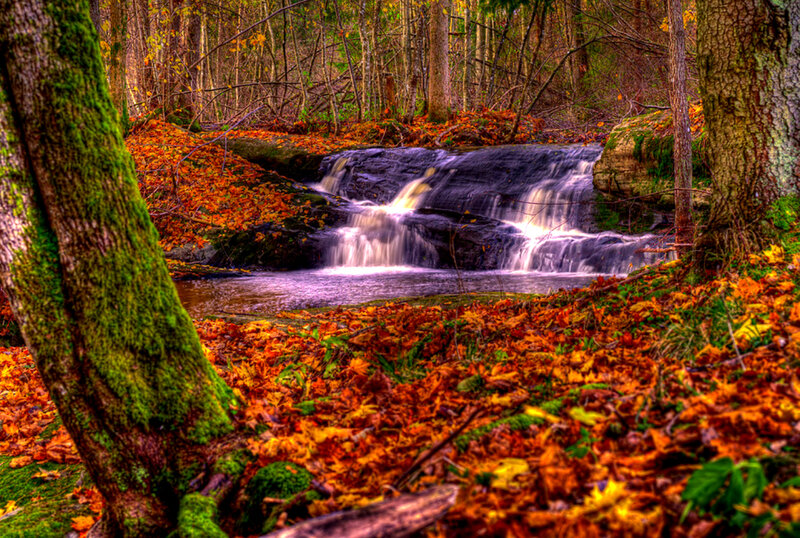 Small Waterfall in Forest — Orange