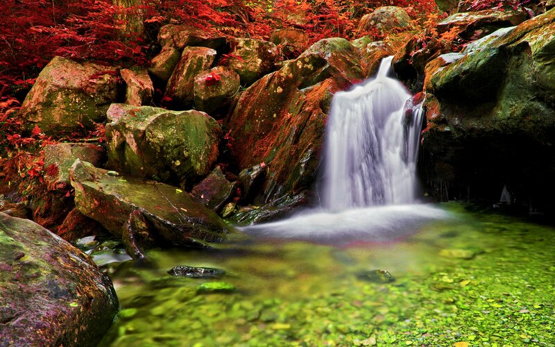 Small Waterfall in Forest — Red, Serene, Autumn, Photograph